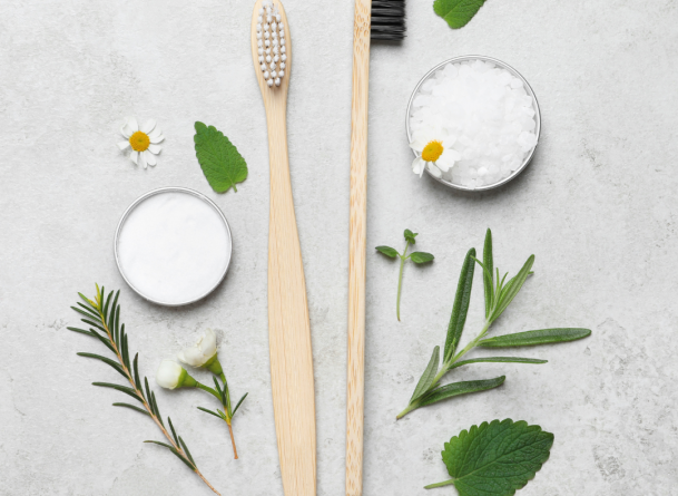 La dentisterie bio-inspir&eacute;e : Quand la nature guide les avanc&eacute;es technologiques